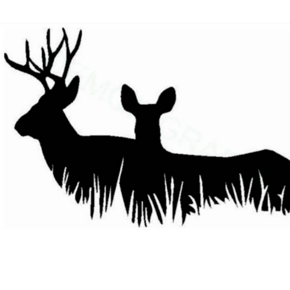 Vinyl Decal - Picture 2 of 2